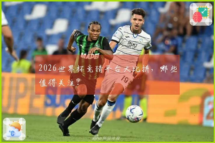 2026世界杯竞猜平台大比拼，哪些值得关注？
