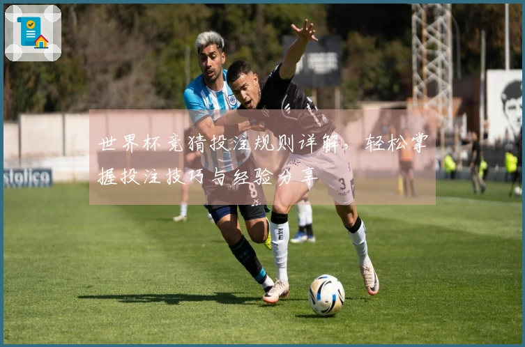 世界杯竞猜投注规则详解，轻松掌握投注技巧与经验分享