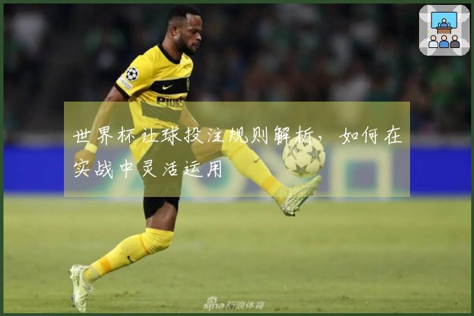 世界杯让球投注规则解析，如何在实战中灵活运用