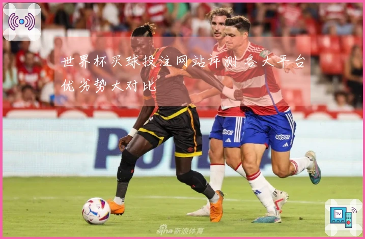 世界杯买球投注网站评测 各大平台优劣势大对比
