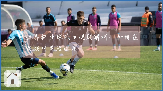 世界杯让球投注规则解析，如何在实战中灵活运用